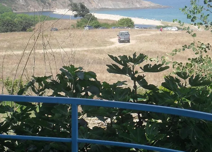 Family 2* Sinemoretz